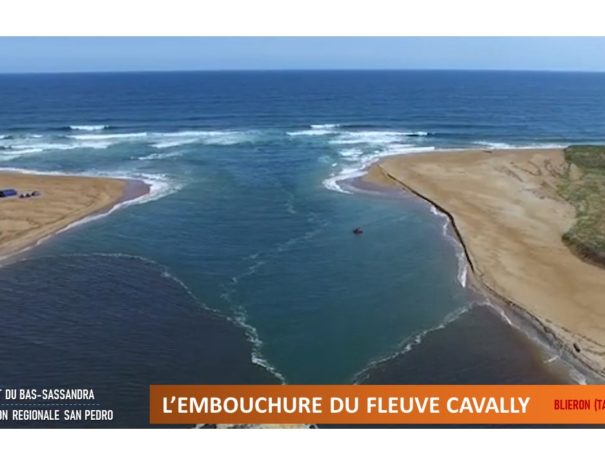 L'EMBOUCHURE DU FLEUVE CAVALLY